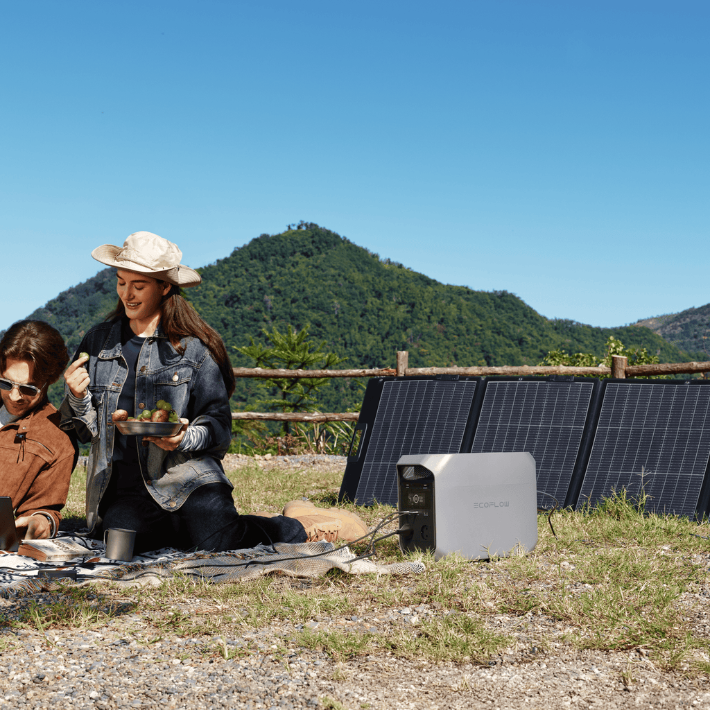 EcoFlow 220W Lightweight Portable Solar Panel 220W – view 4